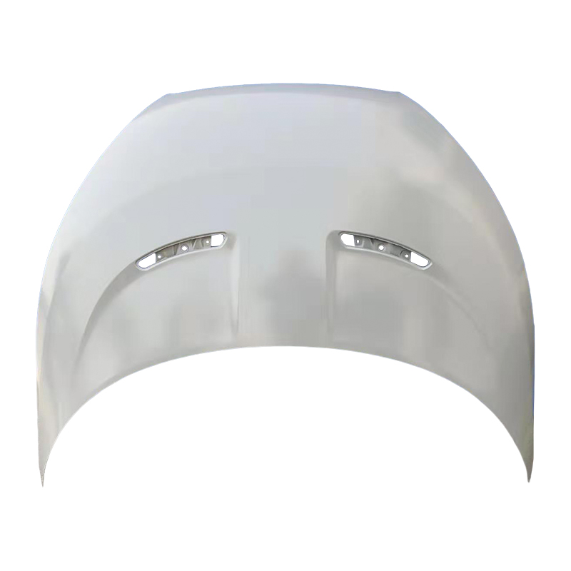 HYUNDAI VELOSTER 12 Hood