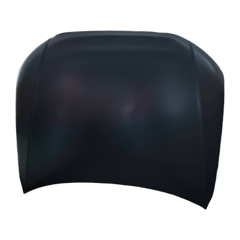 A4 B8 Hood