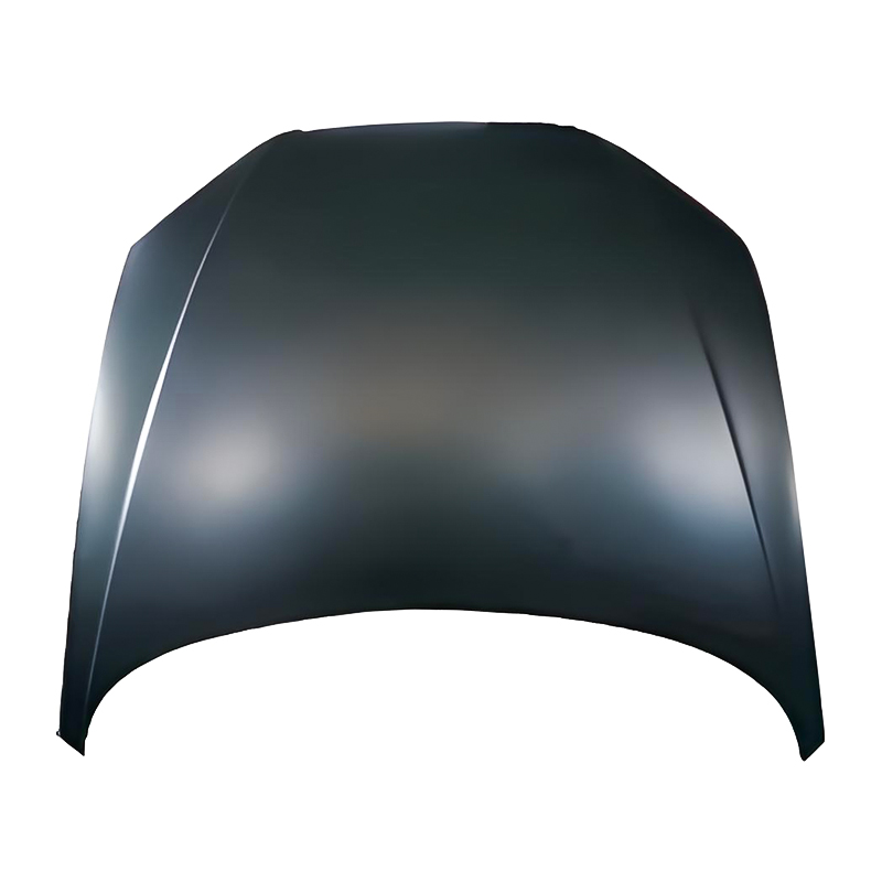 AUDI A8 D3 Hood