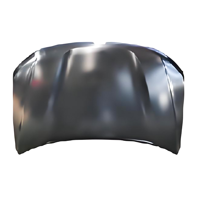 RENAULT DUSTER 18Hood