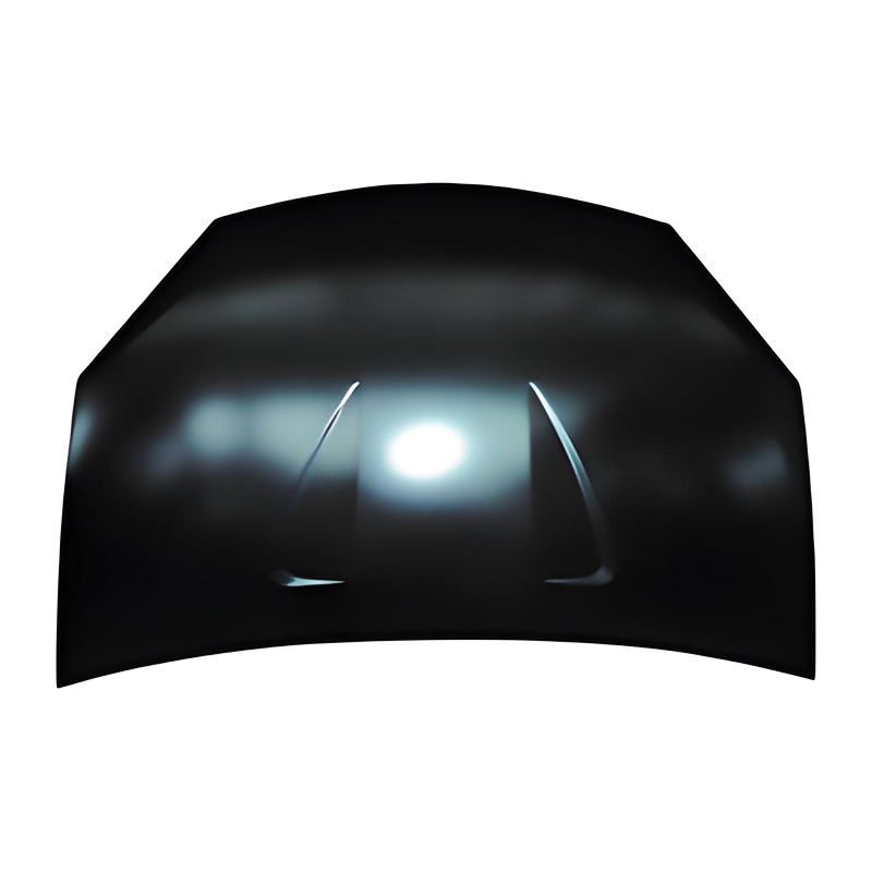 SANDERO 09 Hood