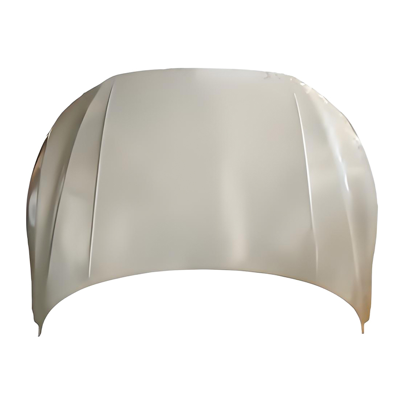 PASSAT CC 19 Hood Hood