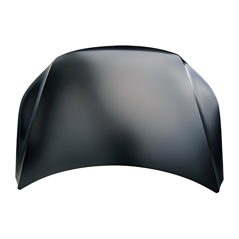 TIGUAN 12 Hood