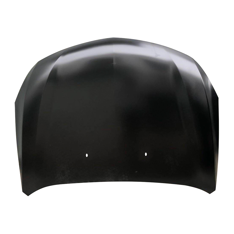BT50'13 Hood