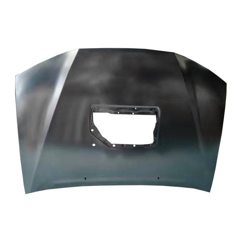 TOYOTA HILUX 12 VIGO Roof (may sunroof)