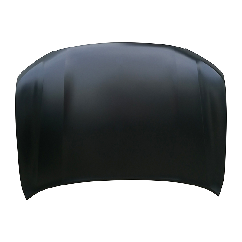 TOYOTA LAND CRUISER 08 Hood