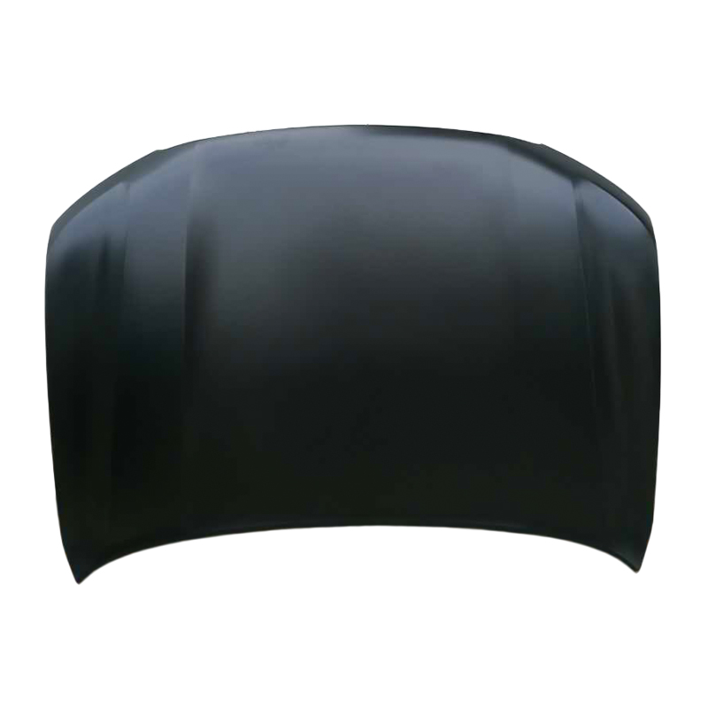 TOYOTA LAND CRUISER 08 Hood
