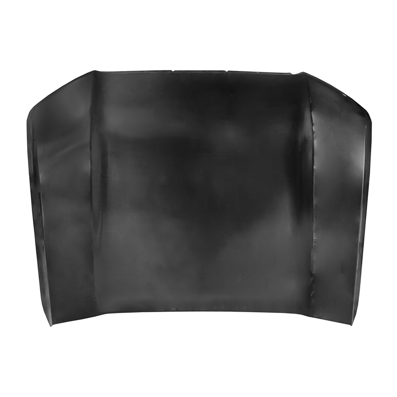 TOYOTA SEQUOIA Front door