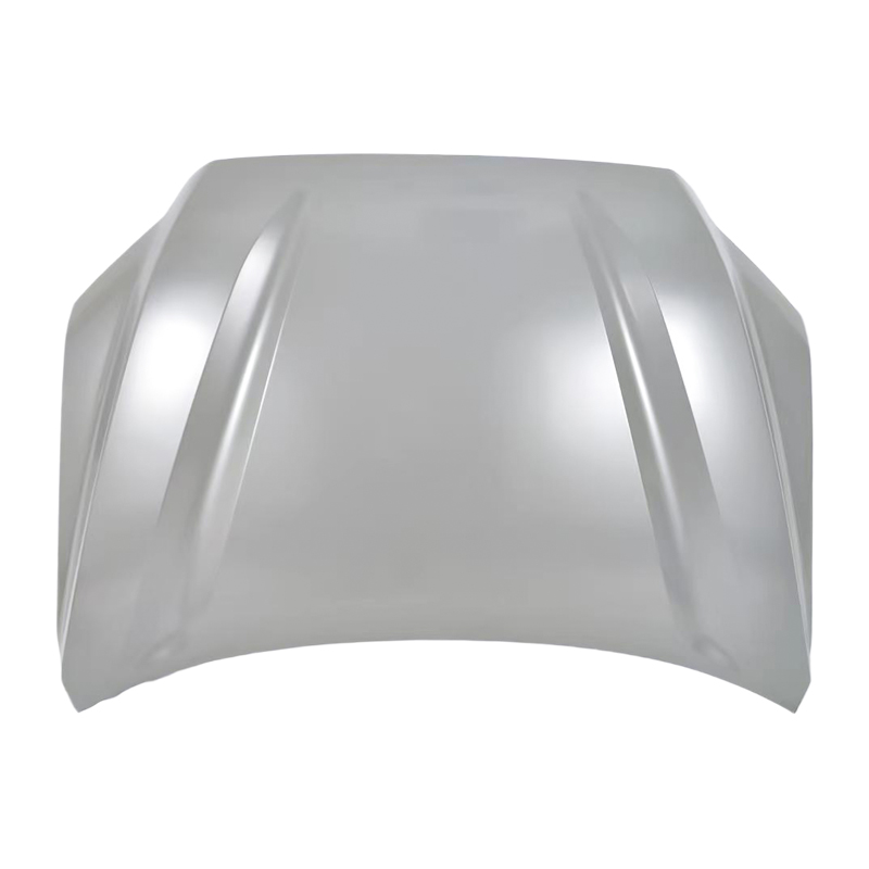 TOYOTA SEQUOIA Hood